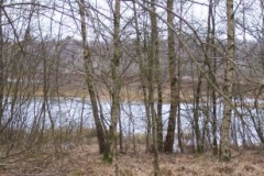 moorlandschaft moorlandschaft