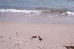 strand strand