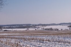 winterliches-feld winterliches-feld